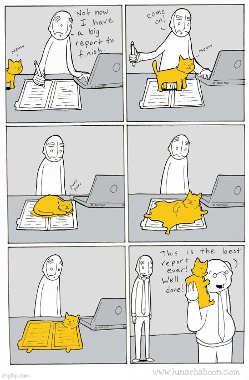 image tagged in cats,comics,best report ever | made w/ Imgflip meme maker