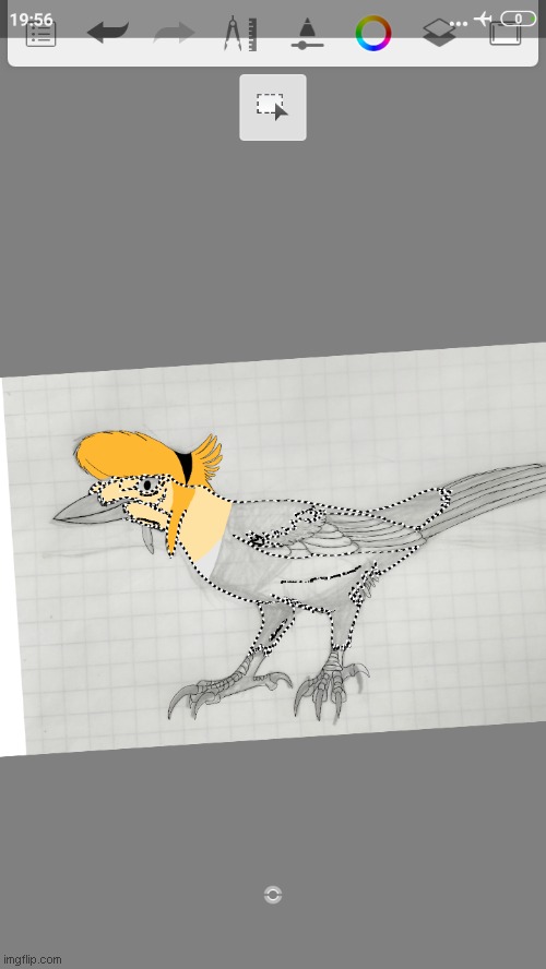 avian art in progress | image tagged in speculative evolution,birds,cyanocitta,jay bird,zoophobia | made w/ Imgflip meme maker
