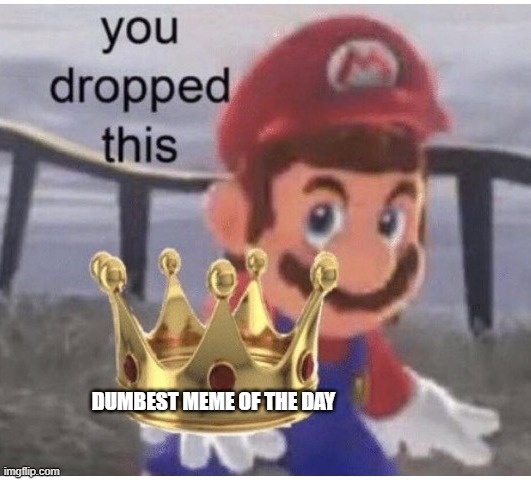 DUMBEST MEME OF THE DAY | image tagged in you dropped this | made w/ Imgflip meme maker