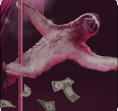 SLOTH KAM 5 Blank Meme Template