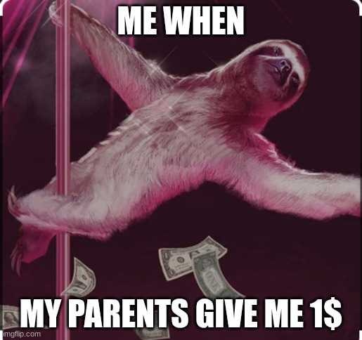 SLOTH KAM 5 | ME WHEN; MY PARENTS GIVE ME 1$ | image tagged in sloth kam 5 | made w/ Imgflip meme maker