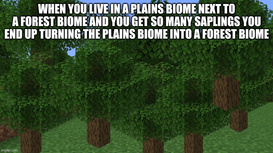 yeah trees drop a lot of saplings | WHEN YOU LIVE IN A PLAINS BIOME NEXT TO A FOREST BIOME AND YOU GET SO MANY SAPLINGS YOU END UP TURNING THE PLAINS BIOME INTO A FOREST BIOME | image tagged in minecraft,trees | made w/ Imgflip meme maker