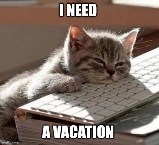 Vacation | I NEED; A VACATION | image tagged in tired cat,funny memes | made w/ Imgflip meme maker