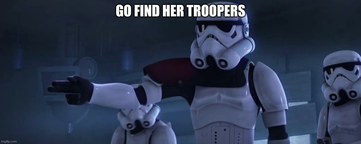 stormtroopers | GO FIND HER TROOPERS | image tagged in stormtroopers | made w/ Imgflip meme maker