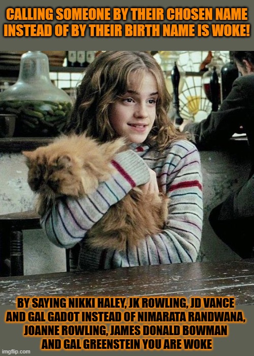 This #lolcat wonders why conservatives are #woke | CALLING SOMEONE BY THEIR CHOSEN NAME INSTEAD OF BY THEIR BIRTH NAME IS WOKE! BY SAYING NIKKI HALEY, JK ROWLING, JD VANCE 
AND GAL GADOT INSTEAD OF NIMARATA RANDWANA, 
JOANNE ROWLING, JAMES DONALD BOWMAN 
AND GAL GREENSTEIN YOU ARE WOKE | image tagged in woke,conservative hypocrisy,jk rowling,jd vance,lolcat,dead name | made w/ Imgflip meme maker