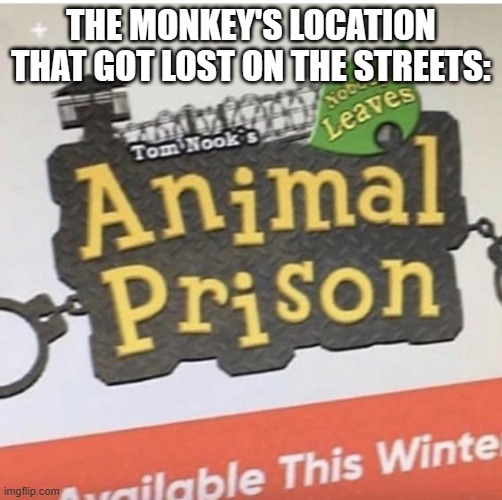 Tom Nooks’s Animal Prison Nobody Leaves | THE MONKEY'S LOCATION THAT GOT LOST ON THE STREETS: | image tagged in tom nooks s animal prison nobody leaves | made w/ Imgflip meme maker