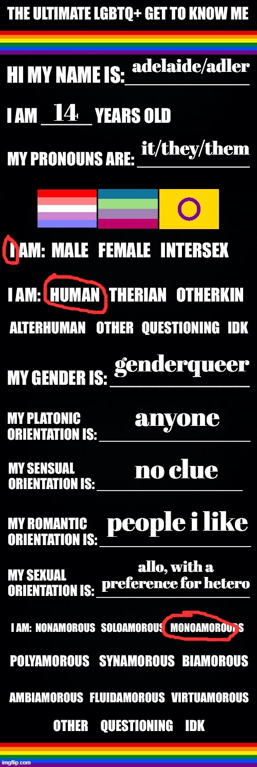 The ultimate LGBTQ+ get to know me | adelaide/adler; 14; it/they/them; genderqueer; anyone; no clue; people i like; allo, with a preference for hetero | image tagged in the ultimate lgbtq get to know me | made w/ Imgflip meme maker