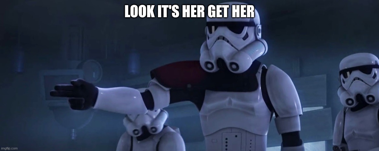 stormtroopers | LOOK IT'S HER GET HER | image tagged in stormtroopers | made w/ Imgflip meme maker
