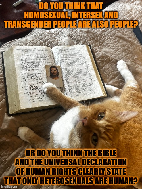 This #lolcat wonders why many hoo-mens think only heterosexuals are people | DO YOU THINK THAT HOMOSEXUAL, INTERSEX AND TRANSGENDER PEOPLE ARE ALSO PEOPLE? OR DO YOU THINK THE BIBLE AND THE UNIVERSAL DECLARATION OF HUMAN RIGHTS CLEARLY STATE THAT ONLY HETEROSEXUALS ARE HUMAN? | image tagged in homophobia,transphobic,lolcat,hypocrites | made w/ Imgflip meme maker