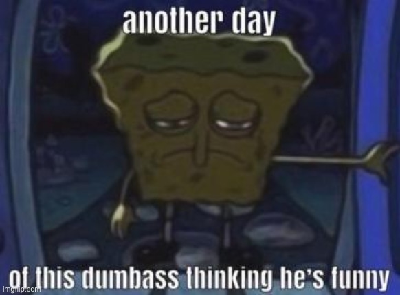 another day of this dumbass | image tagged in another day of this dumbass | made w/ Imgflip meme maker