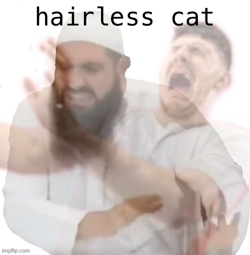 ew brother ew | hairless cat | image tagged in ew brother ew | made w/ Imgflip meme maker