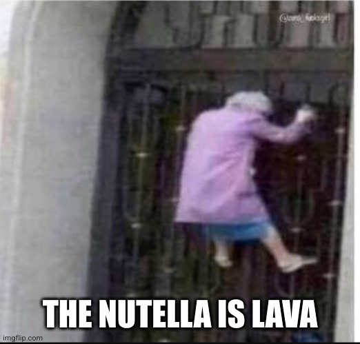 Floor is lava | THE NUTELLA IS LAVA | image tagged in floor is lava | made w/ Imgflip meme maker