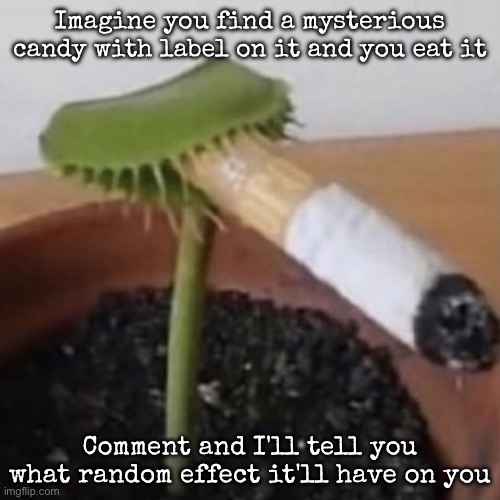 plant weeds | Imagine you find a mysterious candy with label on it and you eat it; Comment and I'll tell you what random effect it'll have on you | image tagged in plant weeds,msmg | made w/ Imgflip meme maker