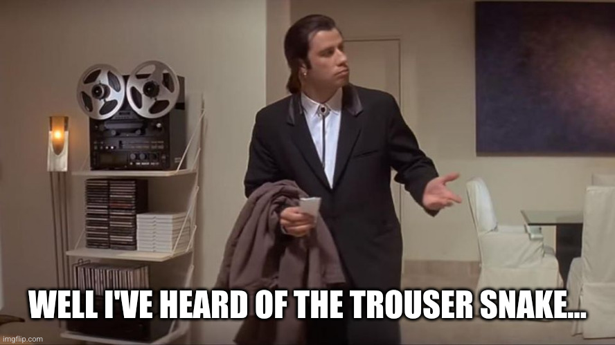 Confused John Travolta | WELL I'VE HEARD OF THE TROUSER SNAKE... | image tagged in confused john travolta | made w/ Imgflip meme maker