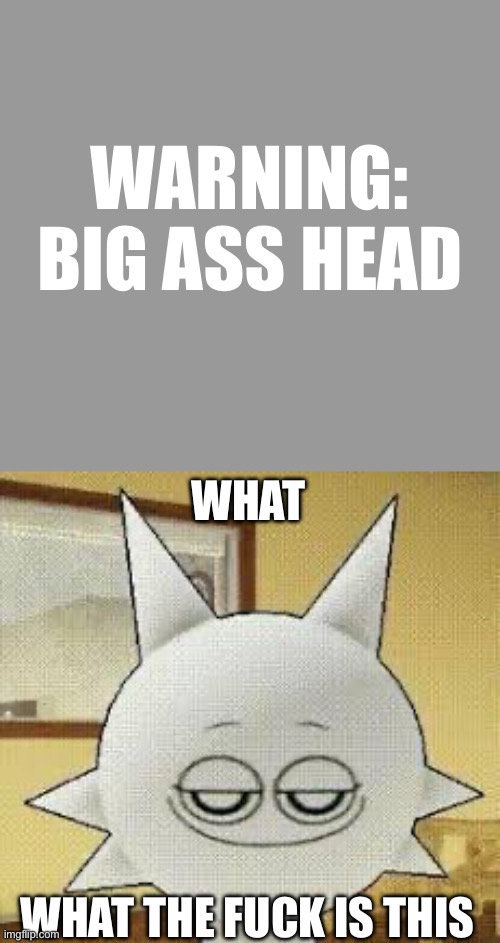 Big aah Smug Wenda | WARNING: BIG ASS HEAD; WHAT; WHAT THE FUCK IS THIS | image tagged in smug wenda | made w/ Imgflip meme maker