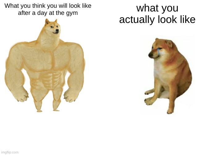 Buff Doge vs. Cheems | What you think you will look like
after a day at the gym; what you actually look like | image tagged in memes,buff doge vs cheems | made w/ Imgflip meme maker