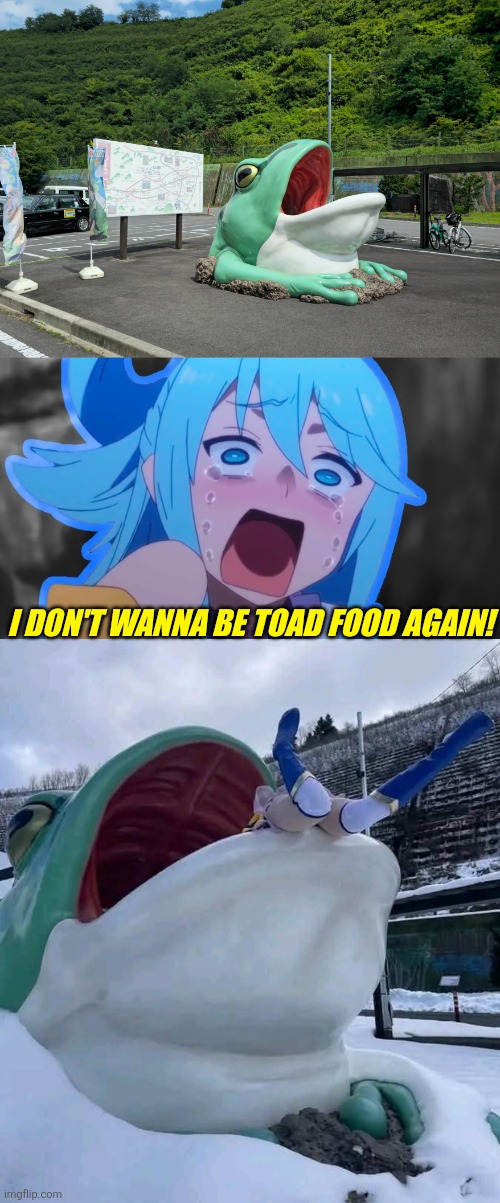 LAST AQUA IS TOAD FOOD | I DON'T WANNA BE TOAD FOOD AGAIN! | image tagged in konosuba,aqua,toad,anime,anime girl | made w/ Imgflip meme maker