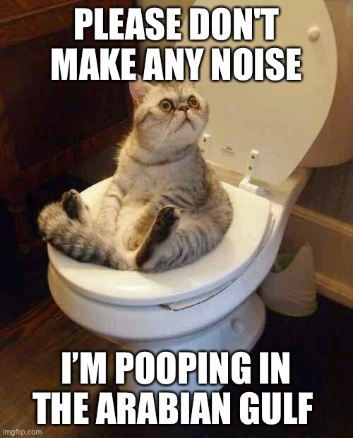 Toilet cat | PLEASE DON'T MAKE ANY NOISE; I’M POOPING IN THE ARABIAN GULF | image tagged in toilet cat,iran,persian,persian gulf,arabian gulf,arab | made w/ Imgflip meme maker