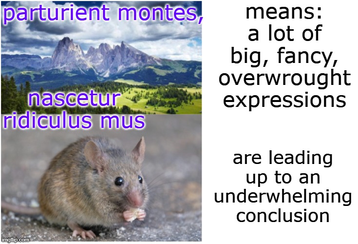parturient montes | parturient montes, nascetur ridiculus mus means: a lot of big, fancy, overwrought expressions are leading up to an underwhelming conclusion | image tagged in parturient montes | made w/ Imgflip meme maker