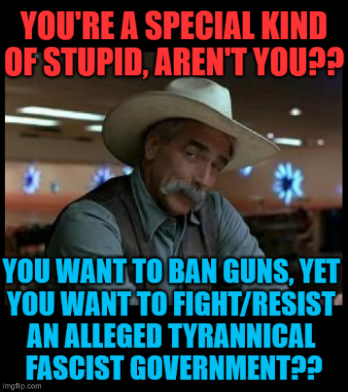 Special Kind Of Democratic Stupid | image tagged in gun control,guns,loads shotgun with malicious intent,duolingo gun,who asked | made w/ Imgflip meme maker