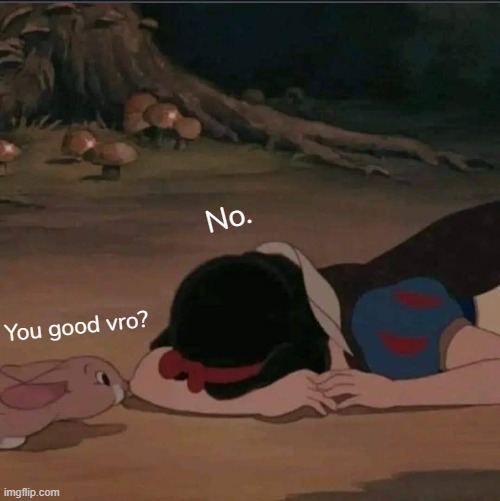 Current mood: | No. You good vro? | made w/ Imgflip meme maker
