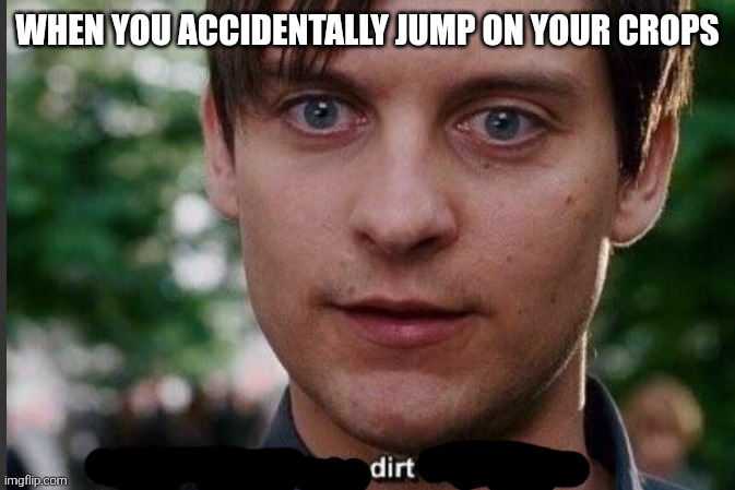 Minecraft be like | WHEN YOU ACCIDENTALLY JUMP ON YOUR CROPS | made w/ Imgflip meme maker
