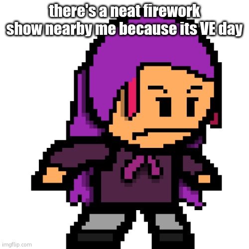 naomi / echo | there's a neat firework show nearby me because its VE day | image tagged in naomi / echo | made w/ Imgflip meme maker