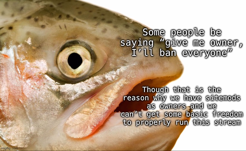 Statement salmon | Some people be saying “give me owner, I’ll ban everyone”; Though that is the reason why we have sitemods as owners and we can’t get some basic freedom to properly run this stream | image tagged in statement salmon | made w/ Imgflip meme maker