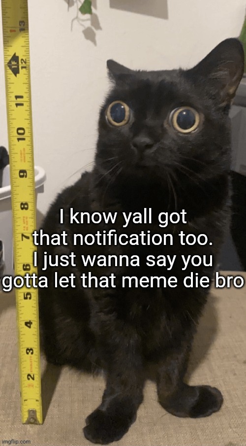 H | I know yall got that notification too. I just wanna say you gotta let that meme die bro | image tagged in h | made w/ Imgflip meme maker