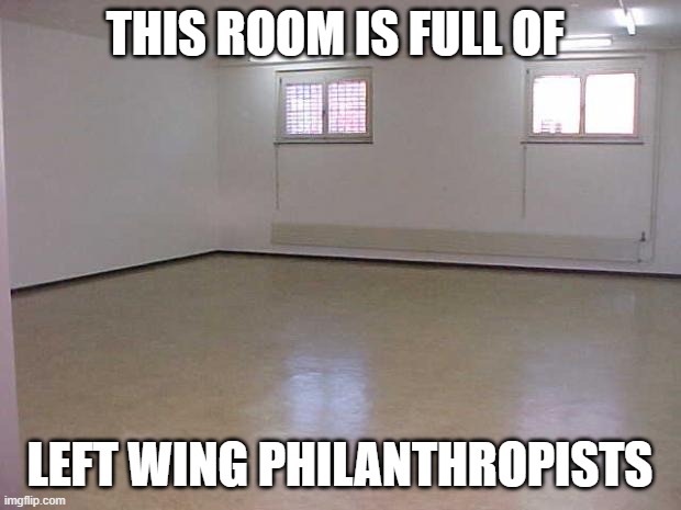 Empty Room | THIS ROOM IS FULL OF; LEFT WING PHILANTHROPISTS | image tagged in empty room | made w/ Imgflip meme maker