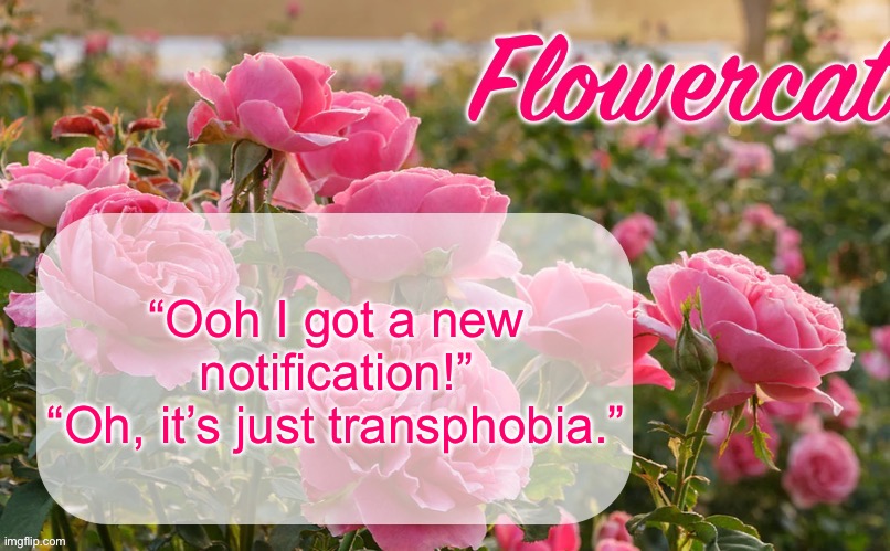 We dealing with this shit again buckos | “Ooh I got a new notification!”
“Oh, it’s just transphobia.” | image tagged in flowercat template | made w/ Imgflip meme maker