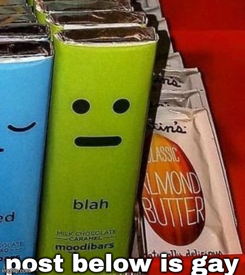blah | post below is gay | image tagged in blah | made w/ Imgflip meme maker