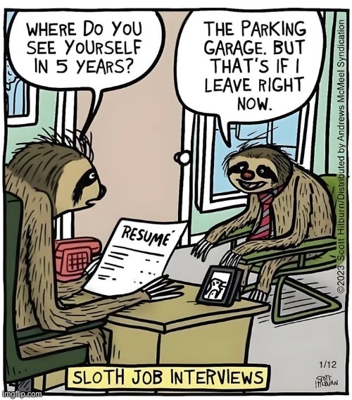 lol | image tagged in funny,sloth,job interview | made w/ Imgflip meme maker