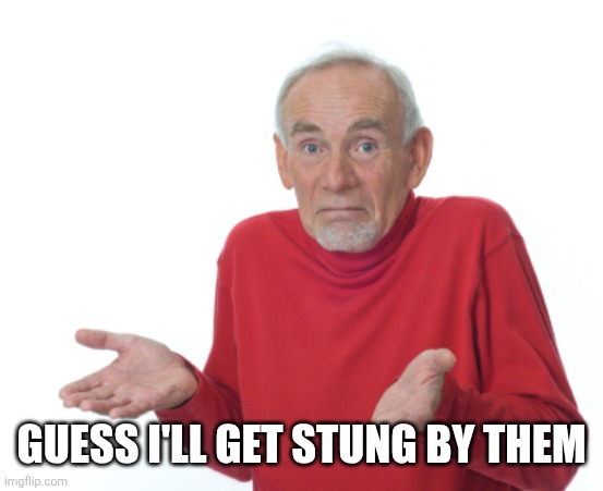Guess I'll die  | GUESS I'LL GET STUNG BY THEM | image tagged in guess i'll die | made w/ Imgflip meme maker