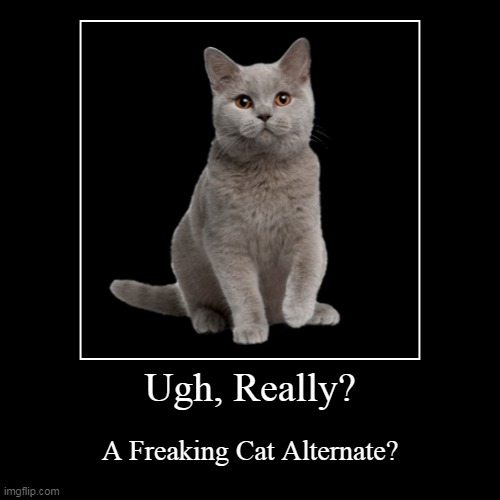 Jonny | Ugh, Really? | A Freaking Cat Alternate? | image tagged in funny,demotivationals,mandela catalogue,cat | made w/ Imgflip demotivational maker