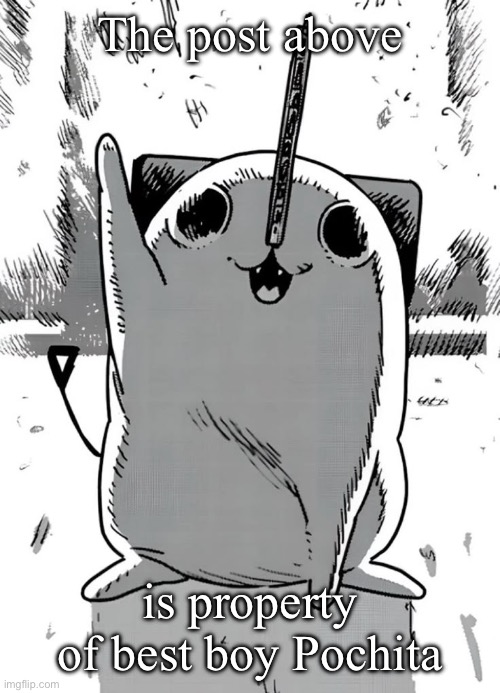 The post above; is property of best boy Pochita | made w/ Imgflip meme maker