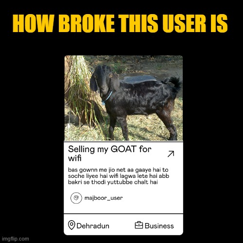 selling goat for wifi | HOW BROKE THIS USER IS | image tagged in wifi | made w/ Imgflip meme maker