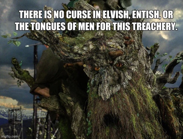 There Is No Curse in Elvish, Entish, or the Tongues of Men | image tagged in there is no curse in elvish entish or the tongues of men | made w/ Imgflip meme maker