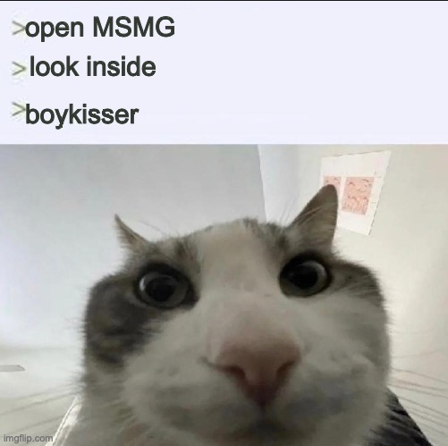 Cat looks inside | open MSMG; look inside; boykisser | image tagged in cat looks inside | made w/ Imgflip meme maker