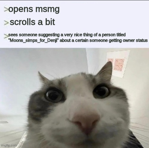 joke btw i rlly dont wna be owner bc there's no point | opens msmg; scrolls a bit; sees someone suggesting a very nice thing of a person titled "Moons_simps_for_Denji" about a certain someone getting owner status | image tagged in cat looks inside | made w/ Imgflip meme maker