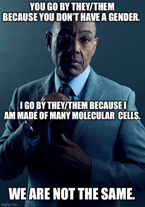 They/Them | YOU GO BY THEY/THEM BECAUSE YOU DON’T HAVE A GENDER. I GO BY THEY/THEM BECAUSE I AM MADE OF MANY MOLECULAR  CELLS. WE ARE NOT THE SAME. | image tagged in gus fring we are not the same | made w/ Imgflip meme maker