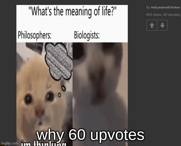 why 60 upvotes | made w/ Imgflip meme maker