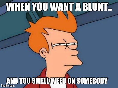 Futurama Fry | WHEN YOU WANT A BLUNT.. AND YOU SMELL WEED ON SOMEBODY | image tagged in memes,futurama fry | made w/ Imgflip meme maker