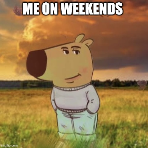 Chill guy | ME ON WEEKENDS | image tagged in chill guy | made w/ Imgflip meme maker