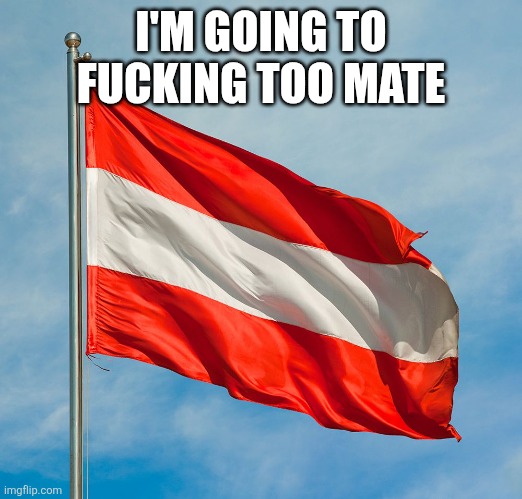 austrian flag | I'M GOING TO FUCKING TOO MATE | image tagged in austrian flag | made w/ Imgflip meme maker