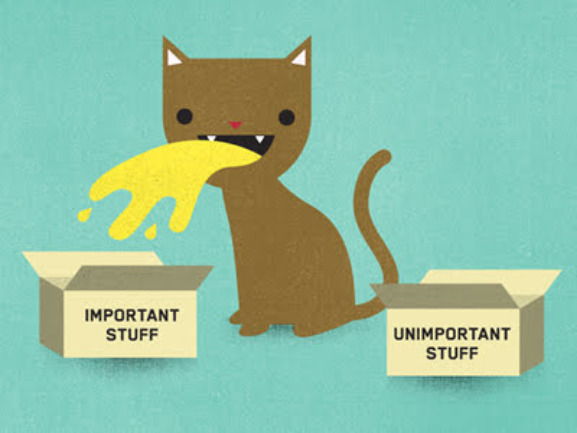 Everytime It never Fails | image tagged in cats,funny cat memes,never fails,how do they know,spiteful turds,puke | made w/ Imgflip meme maker