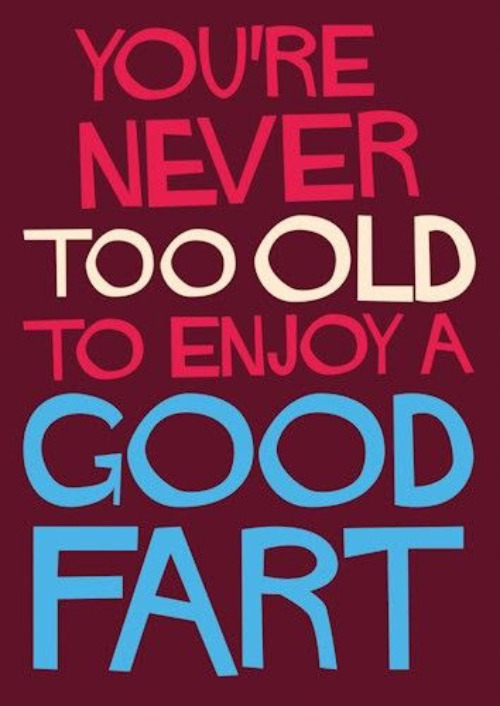 Never Too Old | image tagged in never too old,fart,enjoy,funny,fun,always have been and always will be funny | made w/ Imgflip meme maker