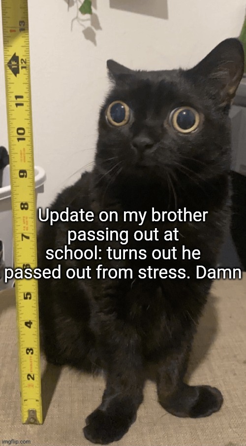 H | Update on my brother passing out at school: turns out he passed out from stress. Damn | image tagged in h | made w/ Imgflip meme maker