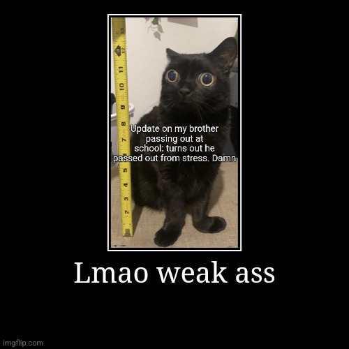 Lmao weak ass | | image tagged in funny,demotivationals | made w/ Imgflip demotivational maker