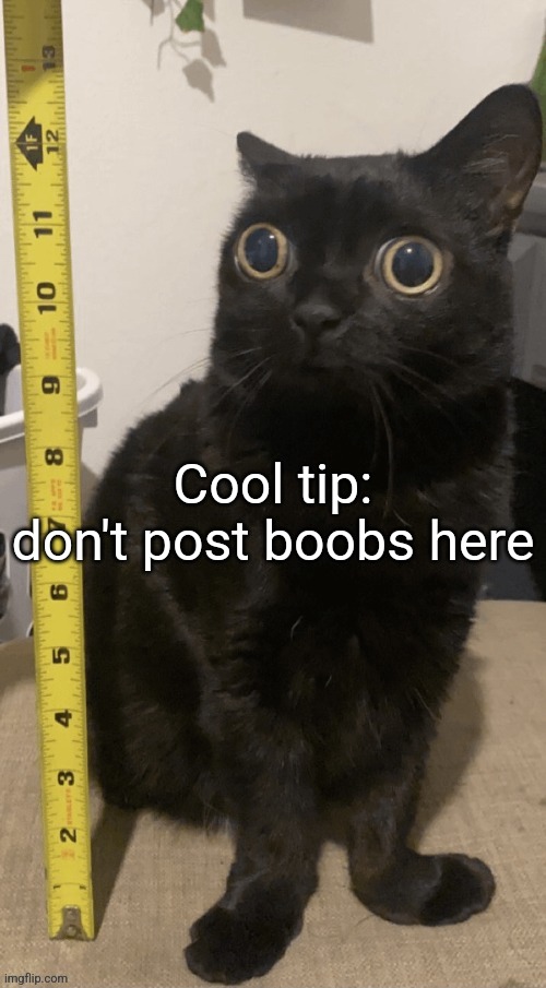 H | Cool tip: don't post boobs here | image tagged in h | made w/ Imgflip meme maker